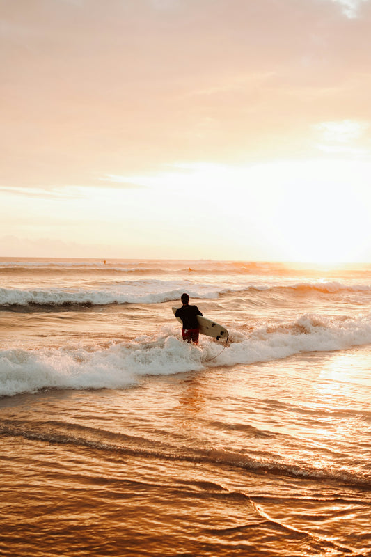 Surfer walking into ocean waves at sunset
